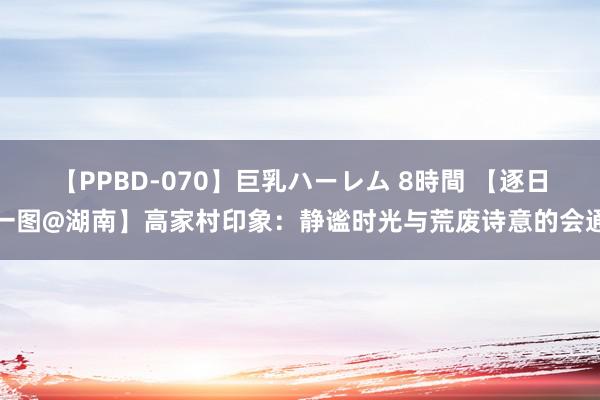 【PPBD-070】巨乳ハーレム 8時間 【逐日一图@湖南】高家村印象：静谧时光与荒废诗意的会通