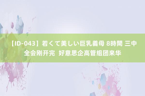 【ID-043】若くて美しい巨乳義母 8時間 三中全会刚开完  好意思企高管组团来华