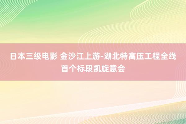 日本三级电影 金沙江上游-湖北特高压工程全线首个标段凯旋意会