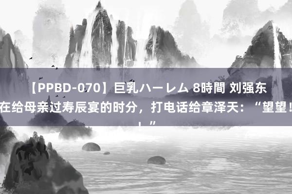 【PPBD-070】巨乳ハーレム 8時間 刘强东曾在给母亲过寿辰宴的时分，打电话给章泽天：“望望！”