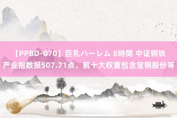 【PPBD-070】巨乳ハーレム 8時間 中证钢铁产业指数报507.71点，前十大权重包含宝钢股份等