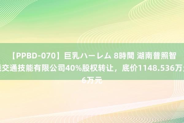 【PPBD-070】巨乳ハーレム 8時間 湖南普照智能交通技能有限公司40%股权转让，底价1148.536万元