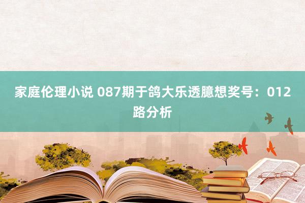 家庭伦理小说 087期于鸽大乐透臆想奖号：012路分析