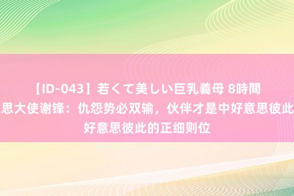 【ID-043】若くて美しい巨乳義母 8時間 中国驻好意思大使谢锋：仇怨势必双输，伙伴才是中好意思彼此的正细则位