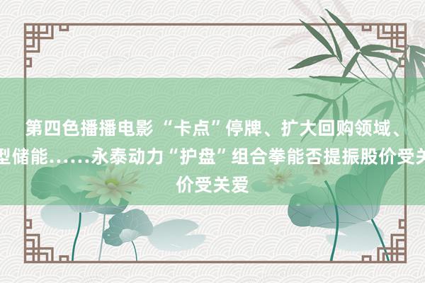 第四色播播电影 “卡点”停牌、扩大回购领域、转型储能……永泰动力“护盘”组合拳能否提振股价受关爱