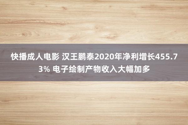 快播成人电影 汉王鹏泰2020年净利增长455.73% 电子绘制产物收入大幅加多