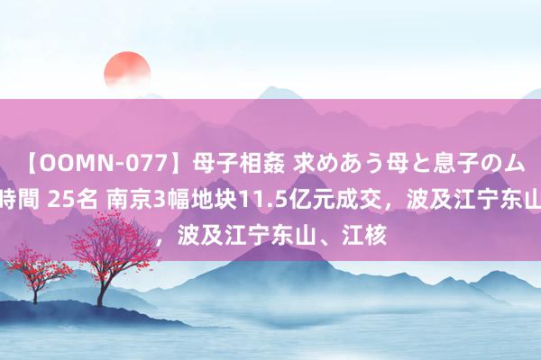 【OOMN-077】母子相姦 求めあう母と息子のムスコ 4時間 25名 南京3幅地块11.5亿元成交，波及江宁东山、江核