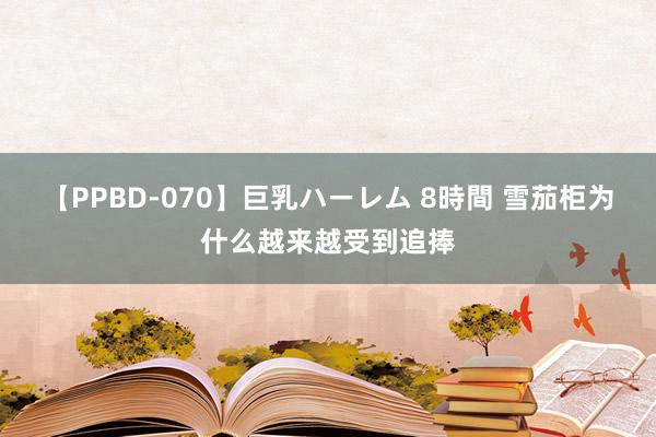 【PPBD-070】巨乳ハーレム 8時間 雪茄柜为什么越来越受到追捧