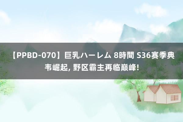 【PPBD-070】巨乳ハーレム 8時間 S36赛季典韦崛起, 野区霸主再临巅峰!