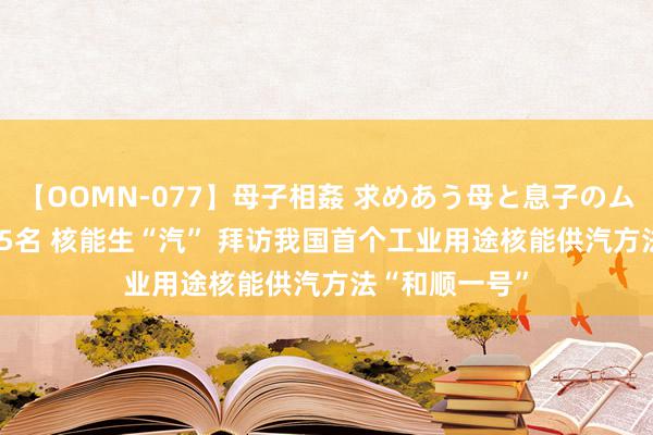 【OOMN-077】母子相姦 求めあう母と息子のムスコ 4時間 25名 核能生“汽” 拜访我国首个工业用途核能供汽方法“和顺一号”