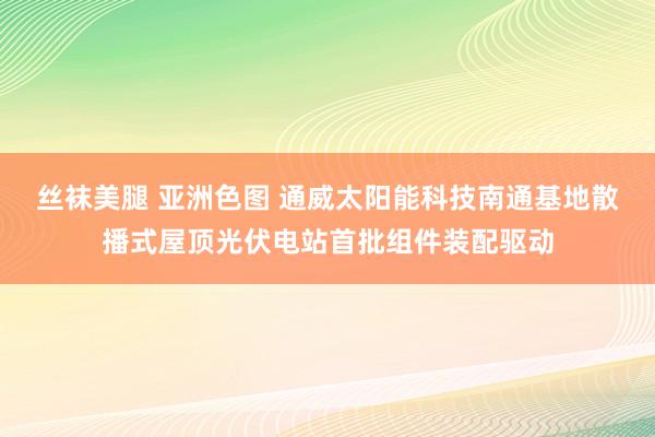 丝袜美腿 亚洲色图 通威太阳能科技南通基地散播式屋顶光伏电站首批组件装配驱动