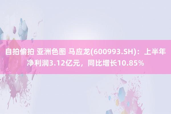 自拍偷拍 亚洲色图 马应龙(600993.SH)：上半年净利润3.12亿元，同比增长10.85%