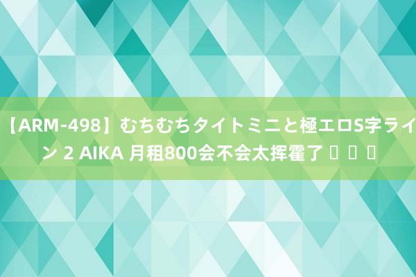 【ARM-498】むちむちタイトミニと極エロS字ライン 2 AIKA 月租800会不会太挥霍了 ​​​