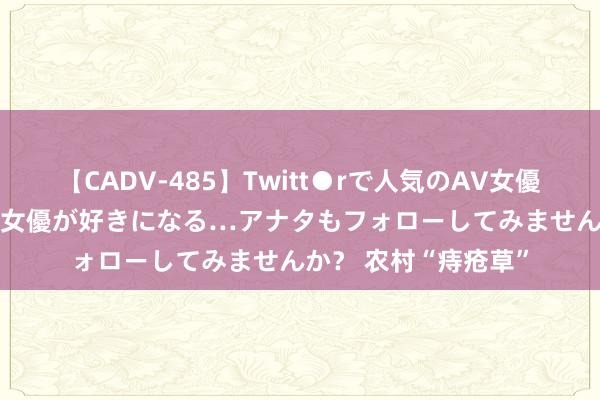 【CADV-485】Twitt●rで人気のAV女優 SNSでますますAV女優が好きになる…アナタもフォローしてみませんか？ 农村“痔疮草”